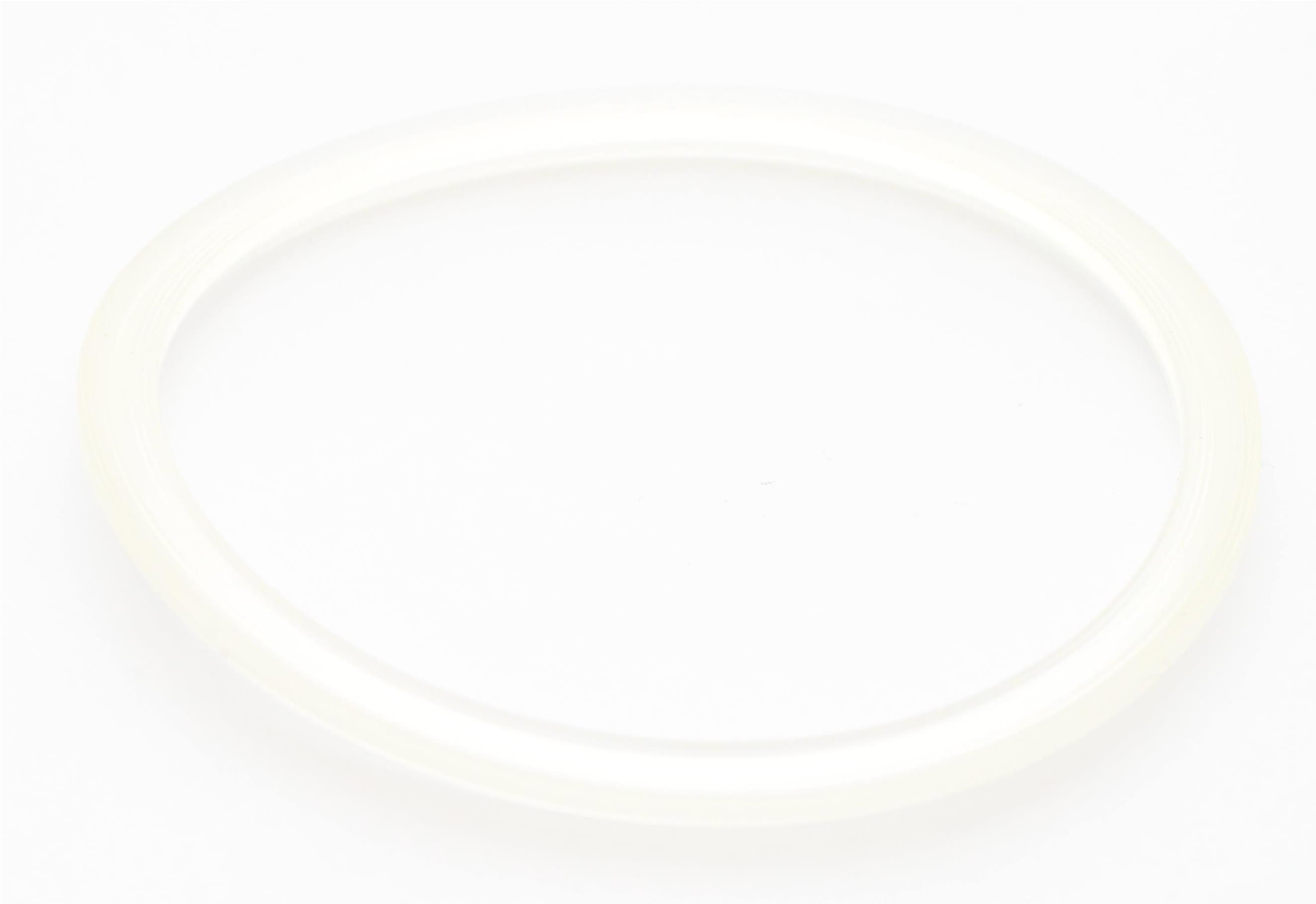 W10292571 KitchenAid Blender Gasket Seal ring ksb555 (now W10686132) eBay